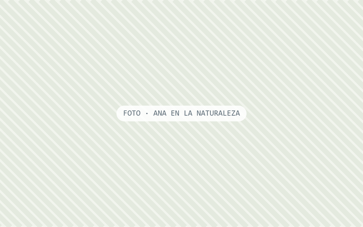 Ana en la naturaleza
